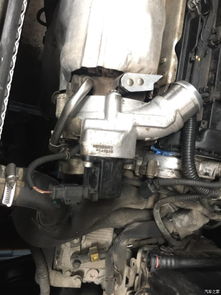 全面呵護(hù)，煥新出發(fā) 成都3008大養(yǎng)護(hù)全記錄